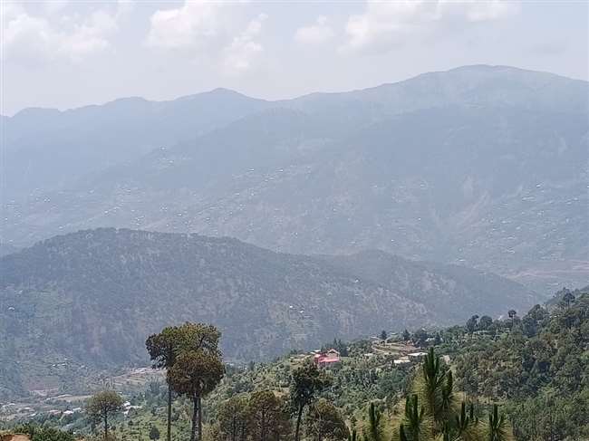World Environment Day 2021: जम्मू कश्मीर में बीते दो वर्ष में राष्ट्रीय औसत से अधिक बढ़ा वन क्षेत्र
