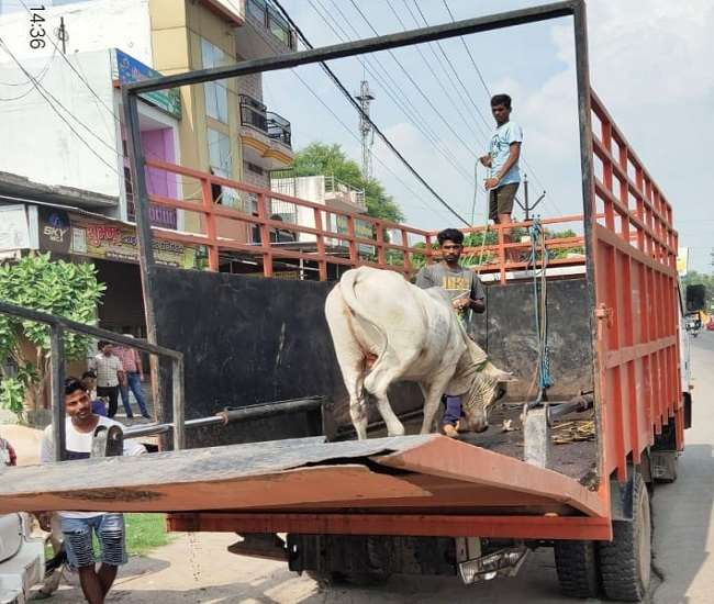 सड़कों पर नजर आ रहे वर्कशाप में जंग खा रहे नगर निगम के संसाधन, जानिए वजह Aligarh news