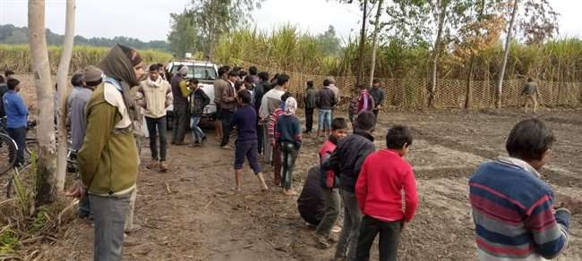 Pilibhit Tiger Reserve : इस जानवर की चहलकदमी से ग्रामीणों में मचा हड़कंप Pilibhit News