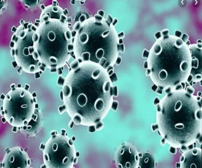 Live Aligarh Coronavirus News Update: भाजपा नेता की कोरोना ने ले ली जान, आठ और पॉजिटिव मिले