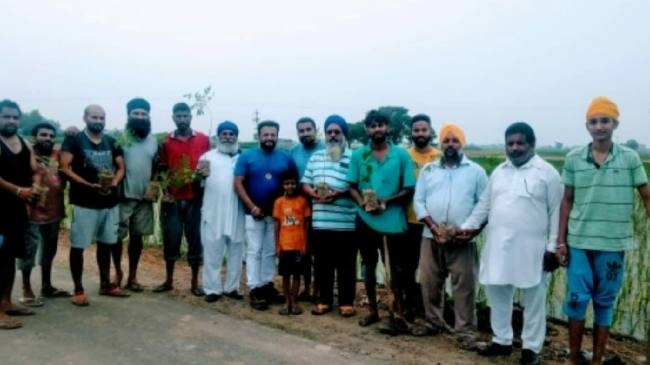 पौधरोपण मुहिम का शुभारंभ किया