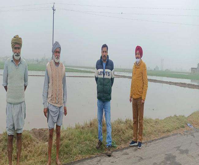 लगातार 4 दिन हुई बारिश से गेहूं, सरसों और आलू की फसल खराब, डेराबस्सी पहुंची कृषि विभाग की टीम