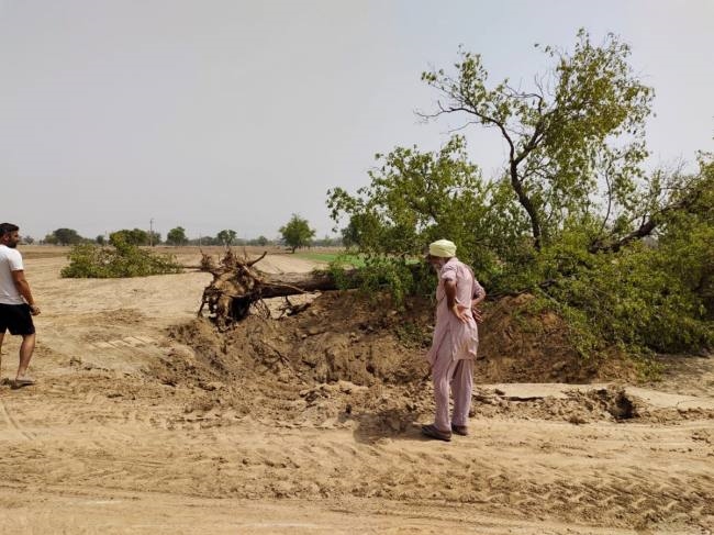 हरे पेड़ उखाडने को लेकर अधिकारियों की दी शिकायत