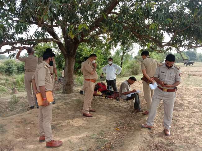 इटावा में कई गोवंशों को काटकर नहर में फेंका, एसडीएम बोले...दोषी पर होगी सख्त कार्रवाई