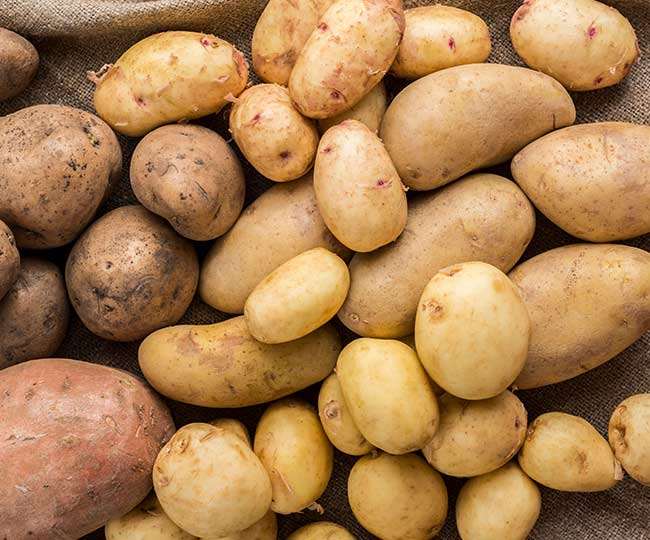 आलू की अधिक पैदावार के लिए उन्नत खेती कैसे करें, आइए जानते हैं