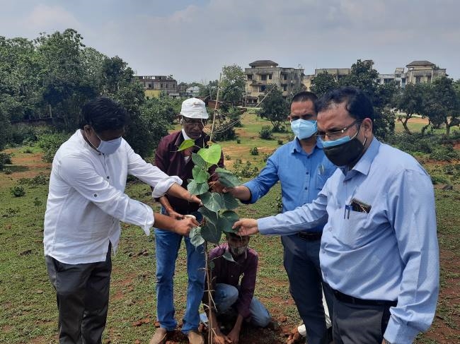 जीवन के लिए अपेक्षित प्राण वायु पौधरोपण से ही संभव