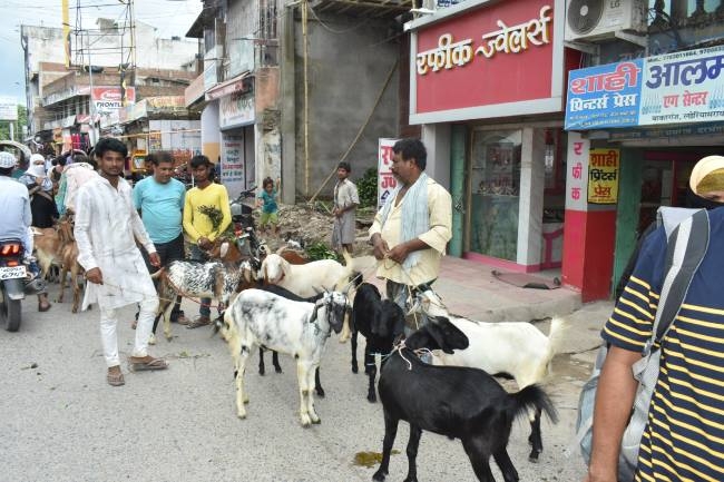 कुर्बानी का त्योहार बकरीद आज, तैयारी पूरी