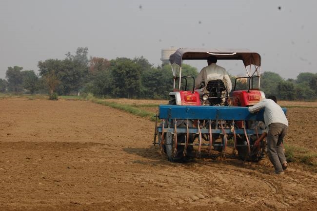 अगर कर रहे है पछेती बोवाई, सावधानी बरतें किसान भाई