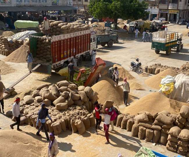 फतेहाबाद खाद्य आपूर्ति विभाग का दावा, फोर्टिफाइड चावल से सरकार दूर करेगी कुपोषण