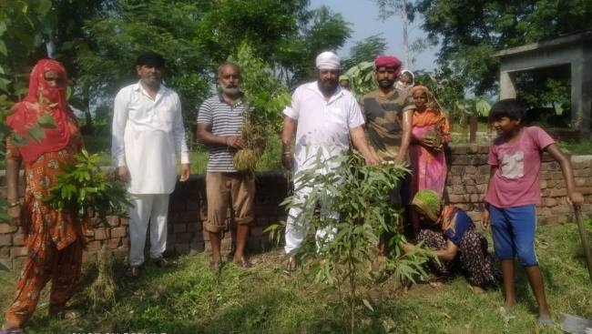 गांव बरीला कलां में लीची के 200 पौधे लगाए