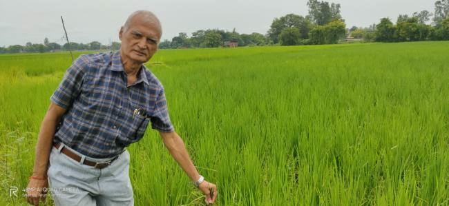 जैविक खेती को अपनाया, प्रतिरोधक क्षमता को बढ़ाया