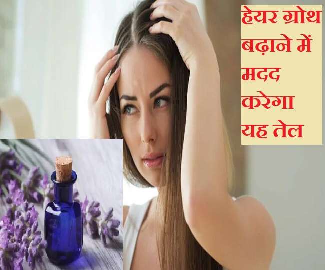 Lavender & Vitamin E Oil: बालों की ग्रोथ बढ़ाना चाहती हैं तो लैवेंडर और विटामिन ई ऑयल लगाएं