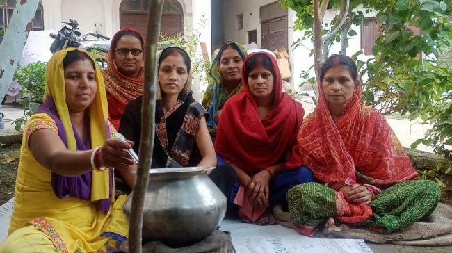 अक्षय नवमी पर आंवला वृक्षों की हुई पूजा-अर्चना