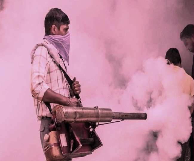 Dengue in Moradabad : शहर में 23 लोग मिले डेंगू से पीडि़त, दवा छिड़काव के लिए नहीं पहुंची टीम