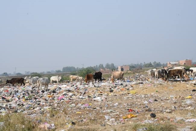 कूड़ा निस्तारण हवा-हवाई, बजट मिला पर स्थापित नहीं करा सके प्लांट