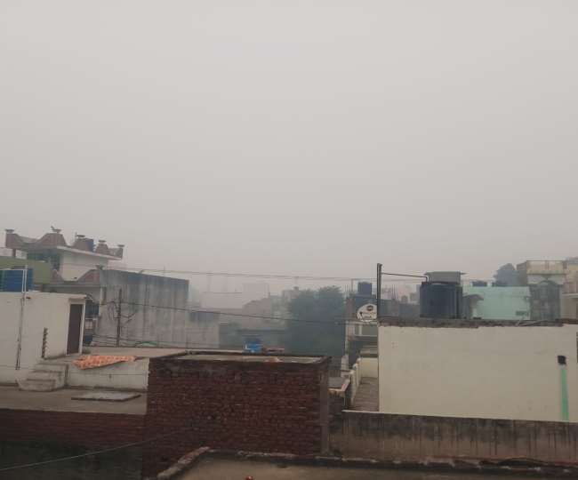 Weather News Update Today: कोहरे में लिपटी रही मकर संक्राति की सुबह, अलीगढ़ में रेंगते नजर आए वाहन