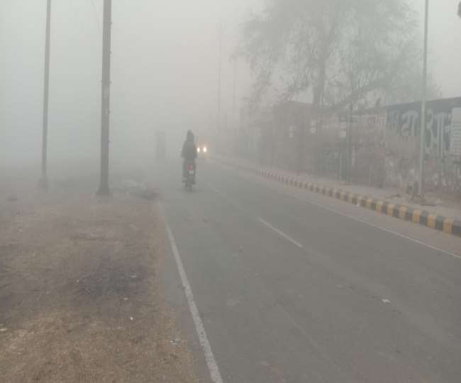 हाथरस में सुबह छाया कोहरा, दोपहर में निकली गुनगुनी धूप