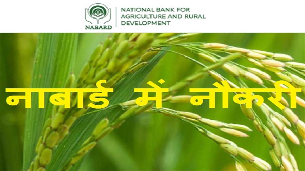NABARD SO Recruitment 2022: नाबार्ड में 21 पदों की भर्ती सॉफ्टवेयर प्रोफेशनल के लिए, आवेदन आज से शुरू