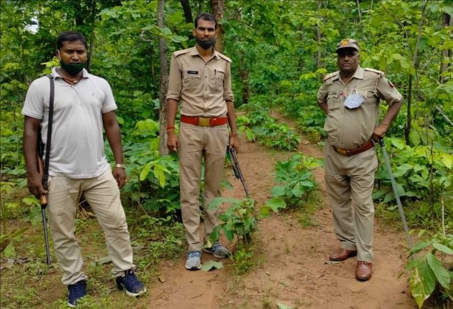 घूमते देखा गया तेंदुआ, वन विभाग सतर्क