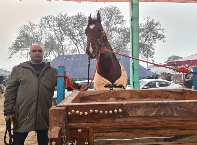 पशु मेले में पहुंचे मात्र 24 सौ जानवर