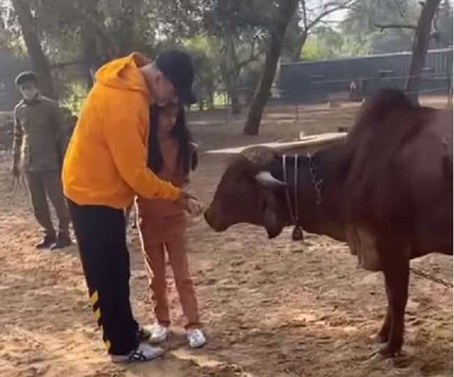 Akshay Kumar ने बेटी नितारा के साथ मिलकर गाय को खिलाया चारा, वायरल हुआ वीडियो