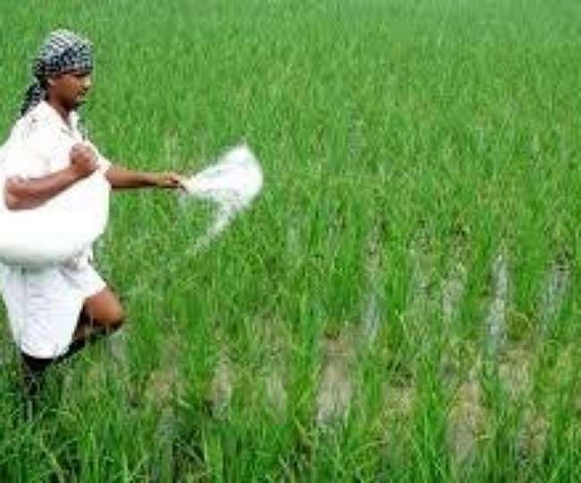 औरंगाबाद: यूरिया खाद के लिए करना होगा चार दिन इंतजार, 31,840 की जगह 16,203 मीट्रिक टन पहुंची खाद