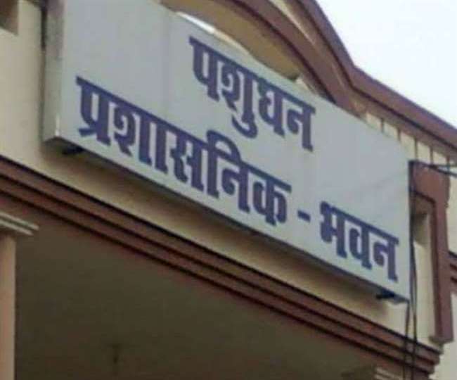 Animal Husbandry Department Scams: लखनऊ मेंं निलंबित समीक्षा अधिकारी की मिली पुलिस कस्टडी रिमांड, पूछताछ