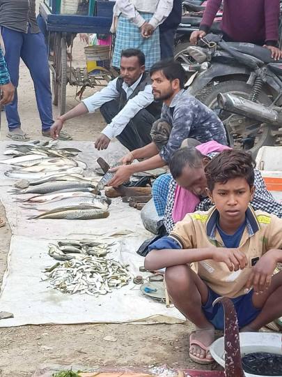 गंगा की मछलियों के नहीं मिल रहे खरीदार
