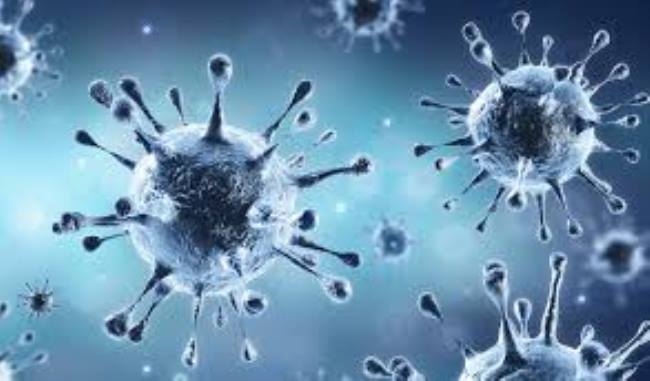 जिले में एक दिन में 19 कोरोना पॉजिटिव, एक दर्जन संक्रमित शहरी क्षेत्र के