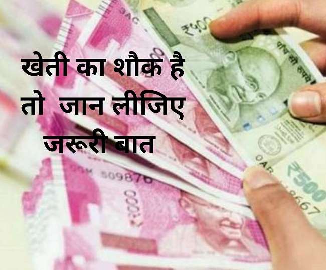 खेती-बाड़ी में आजमाना चाहते हैं हाथ तो पहले जान लीजिए कमाई पर कितना लगता है Tax