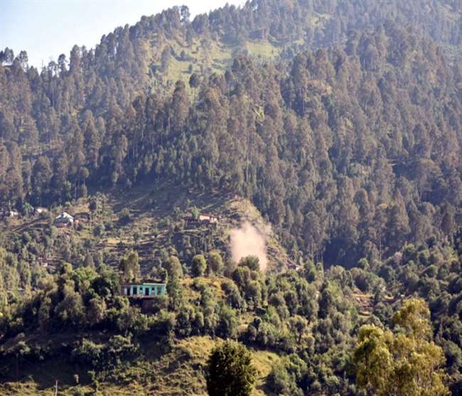 Poonch Encounter : जंगल में आतंकियों के खिलाफ उतारे पैरा कमांडो, खोजी कुत्तों की भी ली जा रही मदद