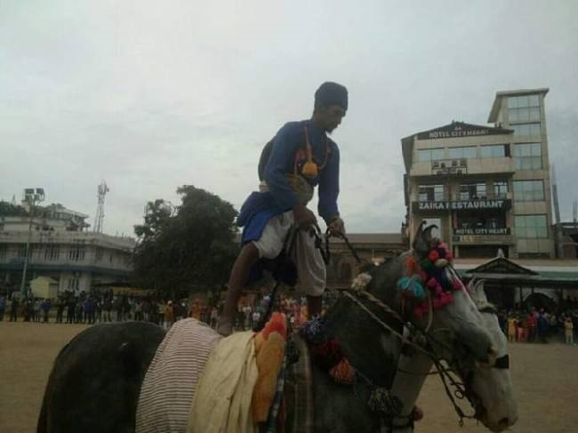 प्रकाशोत्सव में अमृतसर के घुड़सवारों ने दिखाए करतब