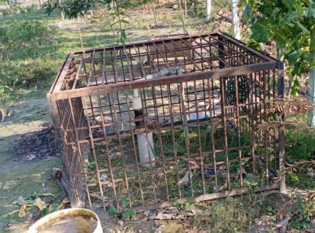बुद्ध बापू उपवन पर चढ़ी उपेक्षा की चादर