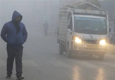 कोहरे संग सर्द हवा ने हर किसी को कंपाया