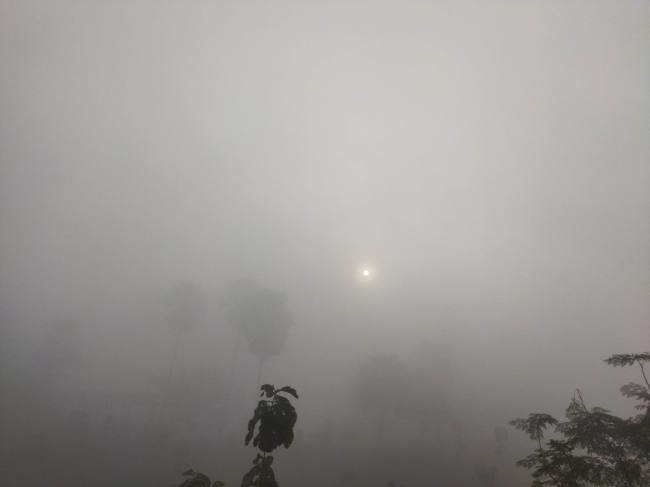 पछिया हवा से बढ़ी कनकनी, धूप से भी राहत नहीं