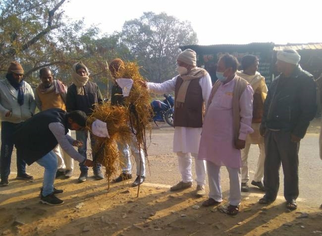 यूरियां की किल्लत : किसानों ने जिला व प्रखंड कृषि पदाधिकारी का पुतला फूंका