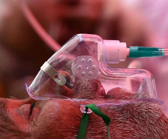 कभी भी पूरी तरह से खत्म नहीं होगा कोरोना, डब्ल्यूएचओ ने किया आगाह- नहीं चेते तो आते रहेंगे हैरान करने वाले वैरिएंट