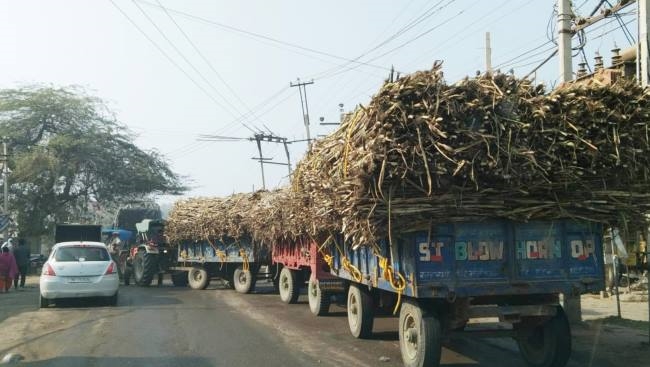 गन्ने से भरी तीन ट्रालियां जोड़ कर चलने से लग रहा जाम