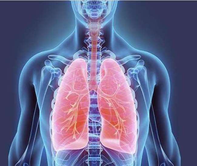 फेफड़ों के संक्रमण का इलाज होगा आसान, IISC बेंगलुरु व ओस्लो यूनिवर्सिटी के शोधकर्ताओं ने विकसित किया नया सॉफ्टवेयर