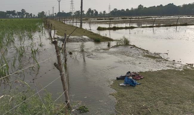 10 साल में ढहा साइफन, दोषी को बचाने में जुटा विभाग