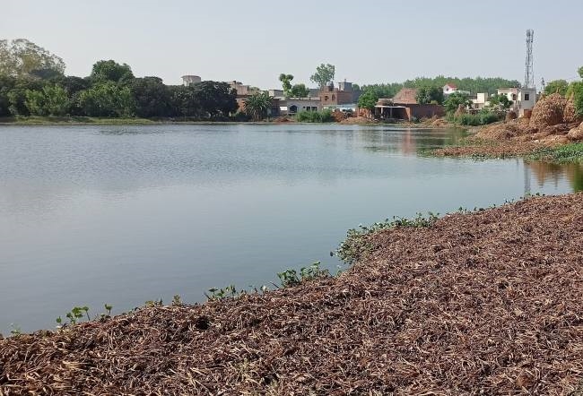 जल संचय कर गांव की सुंदरता बढ़ा रहा रायपुर का तालाब