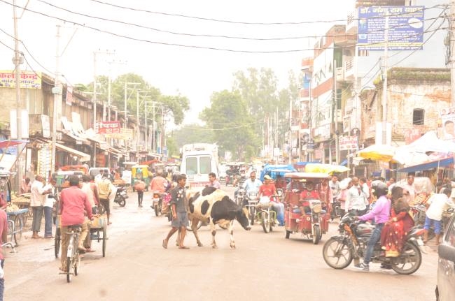कोरोना संक्रमण की दोहरी मार के बाद भी नहीं चेत रहे लोग