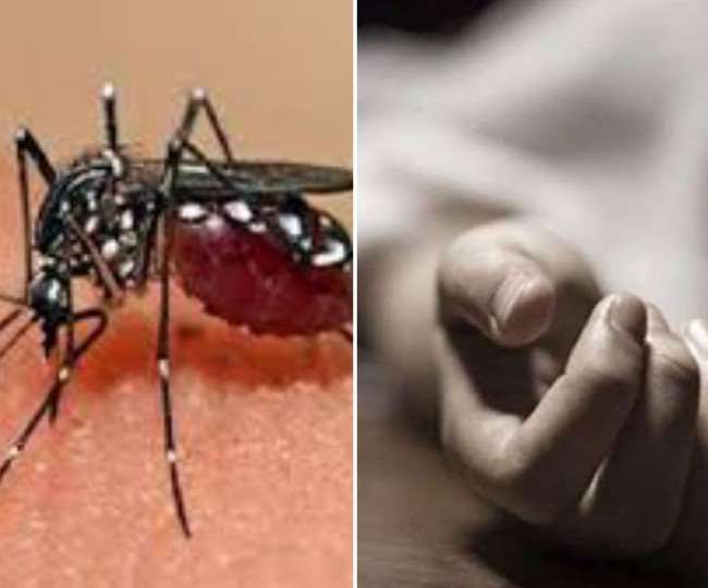 Dengue in Moradabad : काशीपुर में डेंगू से समिति अध्यक्ष की मौत, कई दिनों से चल रहा था इलाज