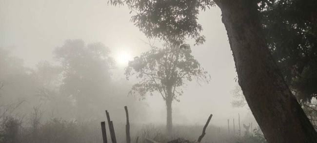 कोहरे और ठंड ने बढ़ाई परेशानी, जनजीवन प्रभावित