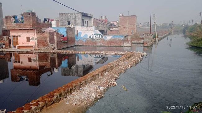 गलियों व खाली प्लाट में भरे गंदे पानी से परेशान काका विहार कालोनी के लोग