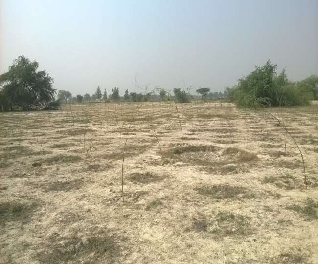 डाडासीबा में 1951 में बने निहारी के प्राइमरी स्कूल को मिली अब अपनी ज़मीन