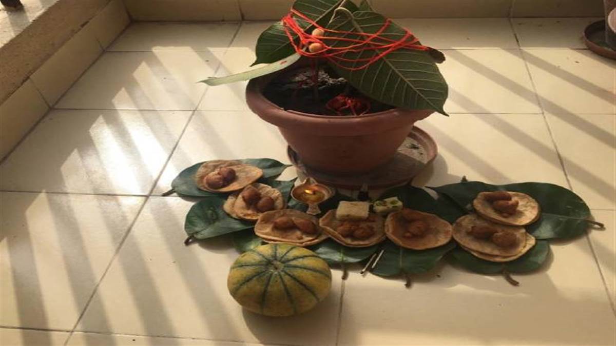 Vat Savitri Vrat 2022: वट सावित्री व्रत पर बन रहा खास संयोग, जानें शुभ मुहूर्त और पूजा विधि