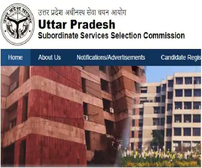 UPSSSC Result 2021: प्राविधिक सहायक ग्रुप सी परीक्षा 2018 का अंतिम रिजल्ट घोषित, 2036 अभ्यर्थियों का चयन