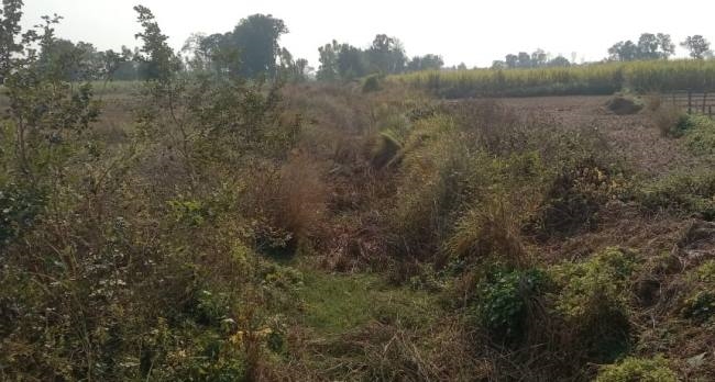 रेस्टोरेशन पर करोड़ों खर्च, नहीं बुझ रही खेतों की प्यास