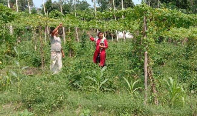 अनुदान के सोलर पंप से घटेगी खेती की लागत
